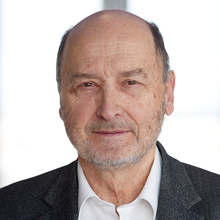 Stefan Hradil